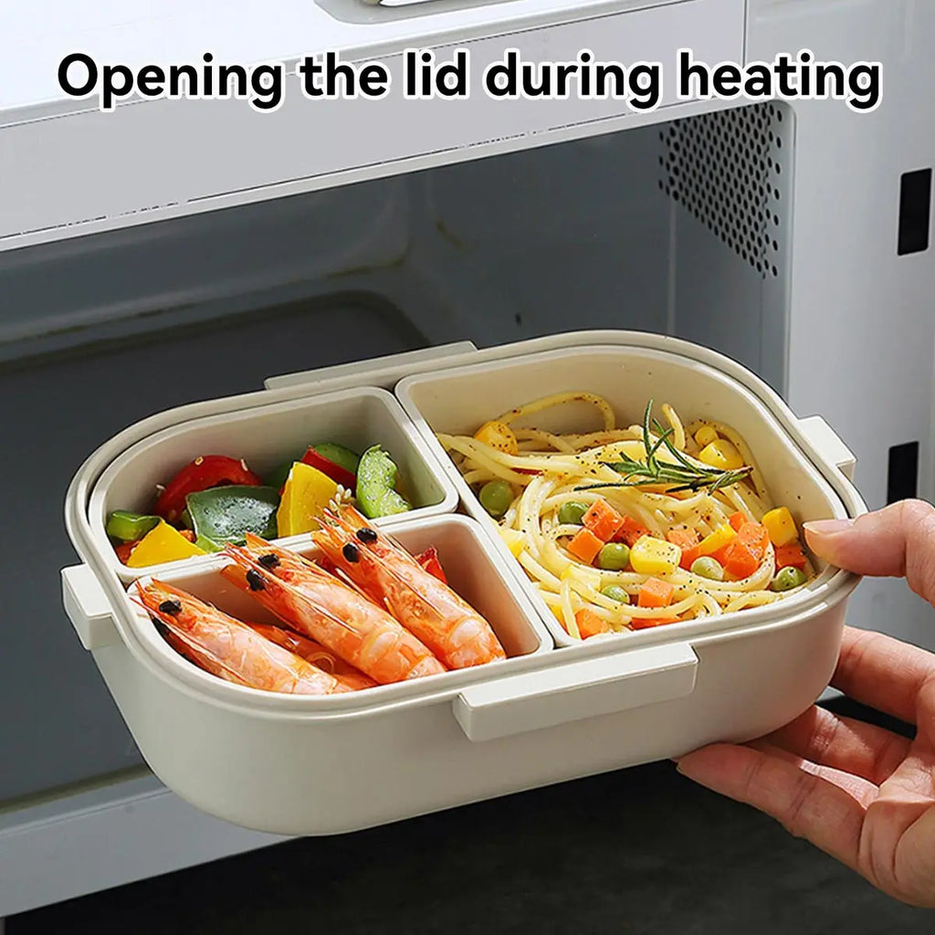 Lunch Box (With 3 removable compartment)